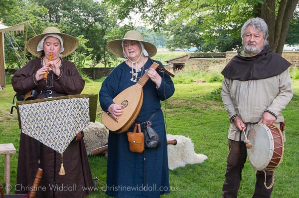 Picture Tatton Medieval Fayre 2014 - the minstrels