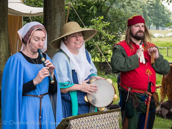 Tatton Medieval Fayre 3